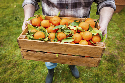 Prijavite se za suradnju s Konzumom!