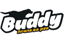 Buddy